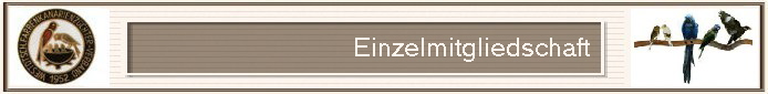 Einzelmitgliedschaft                          