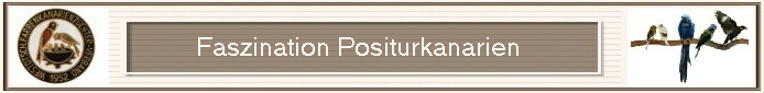 Faszination Positurkanarien                                    