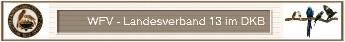 WFV - Landesverband 13 im DKB                          